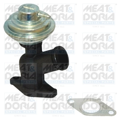EGR Valve